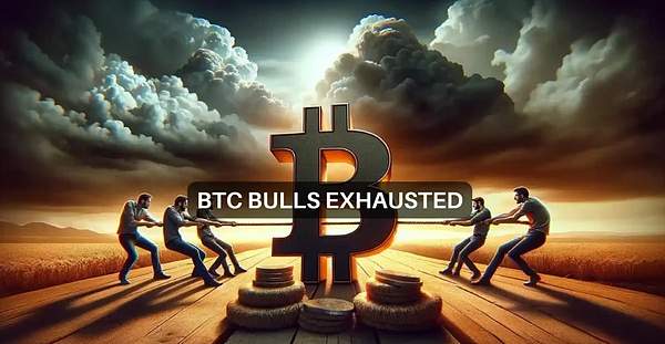 昨晚这个神秘项目火爆到服务器崩溃，现在终于能进了！